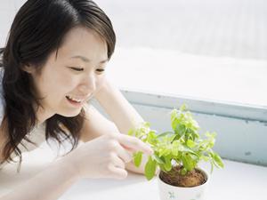 2025年最新！フコイダンの効果と摂取法を徹底解説し、健康維持に役立つ完全ガイド